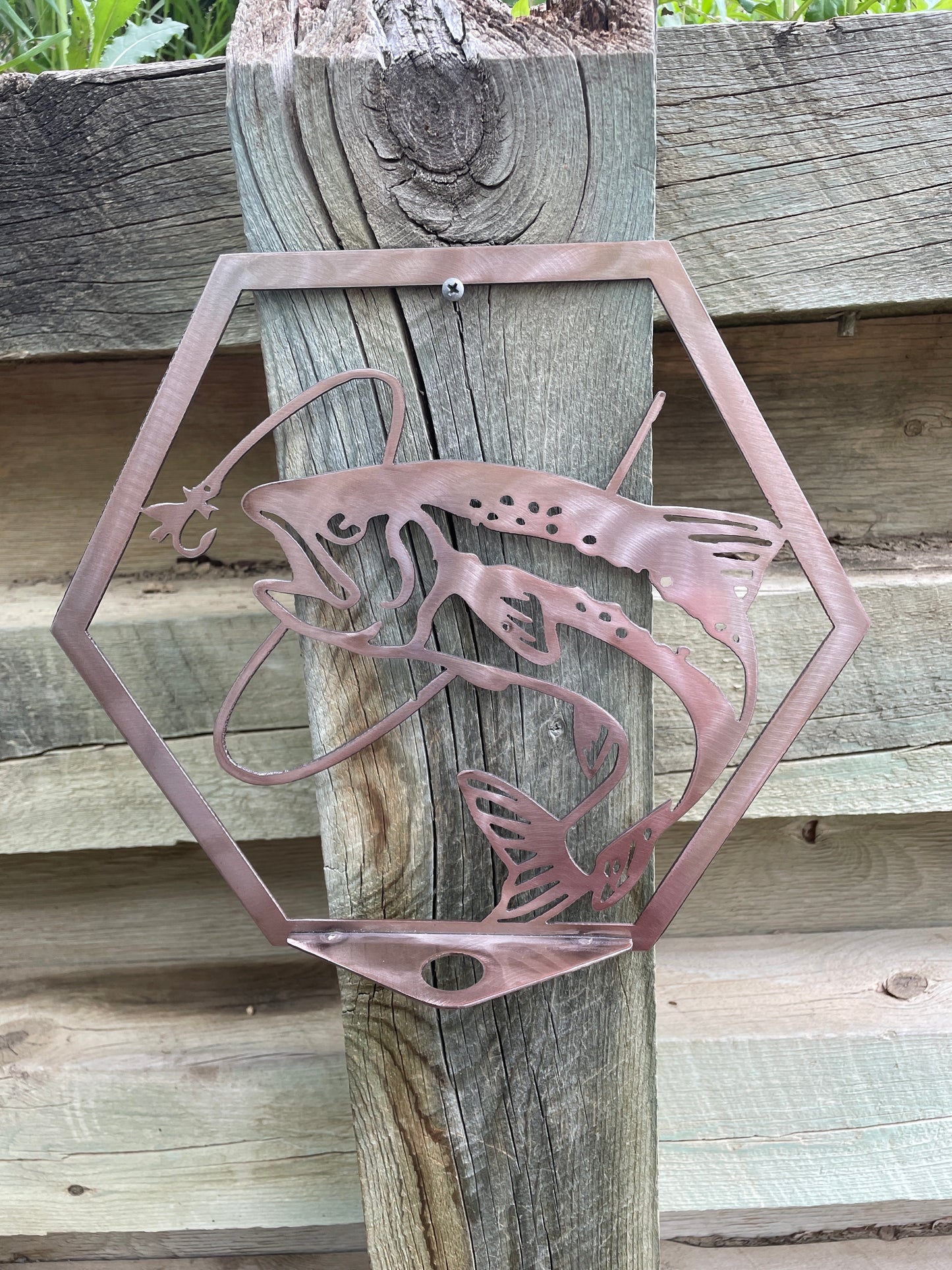 Trout Honeycomb